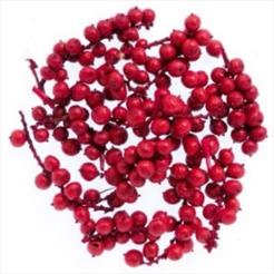 Berries