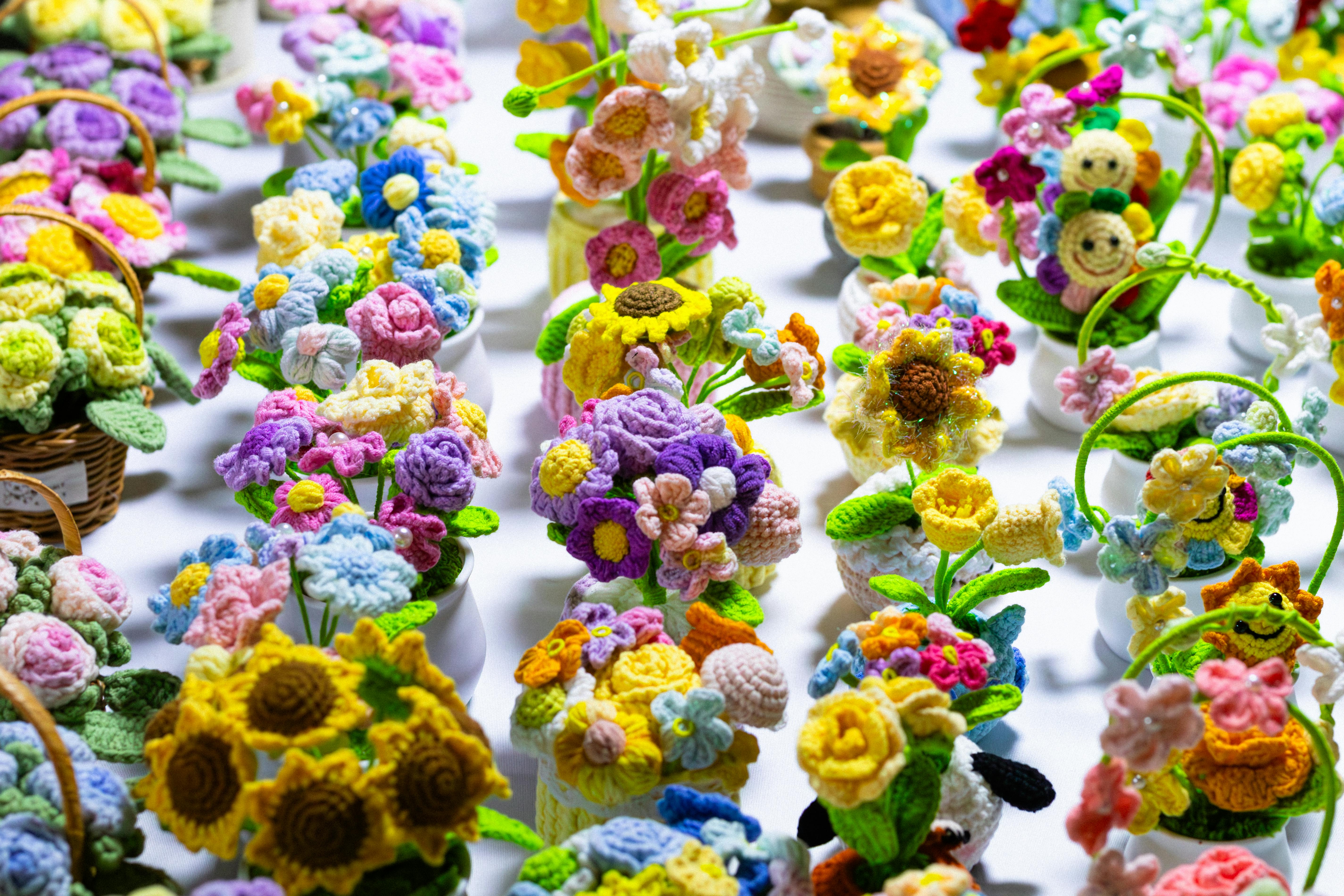 Embrace the beauty of Spring
