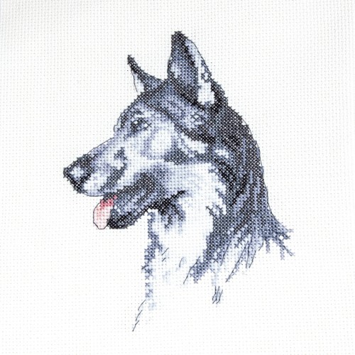 CROSS STITCH FRED (CACS07)