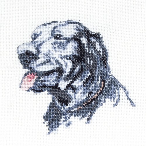 CROSS STITCH PILOT (CACS11)