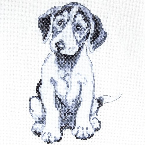 CROSS STITCH LUNA (CACS12)