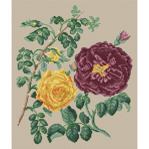 CROSS STITCH YELLOW CENTIFOLIA ROSE (FGCS0