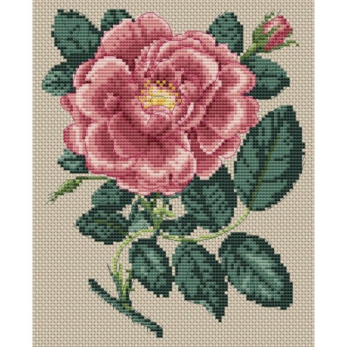 CROSS STITCH ROSA DAMASCENA GFLOR (FGCS02)