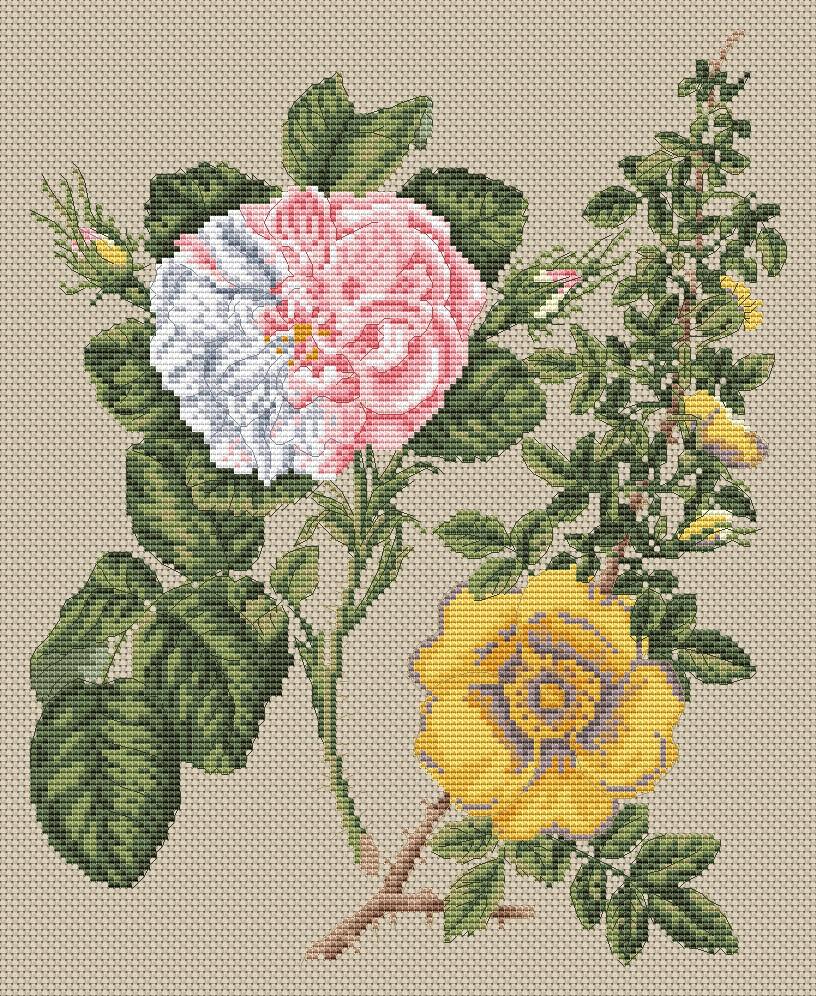 CROSS STITCH DAMASK & YELLOW ROSE (FGCS04)