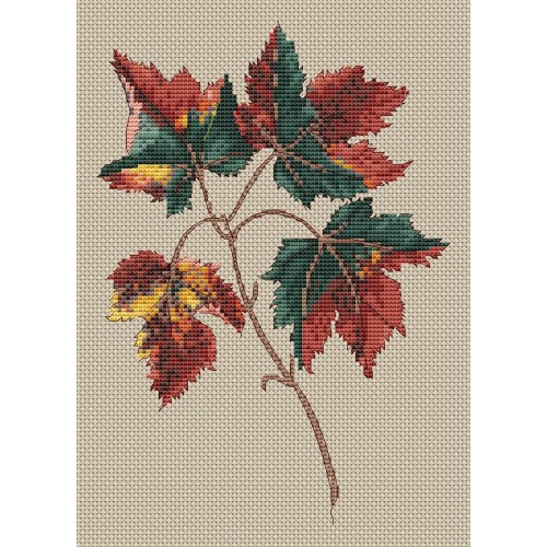 CROSS STITCH ACER RUBRUM (FGCS07)