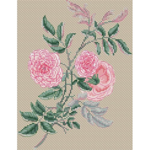 CROSS STITCH ROSA GRACILIS (FGCS11)