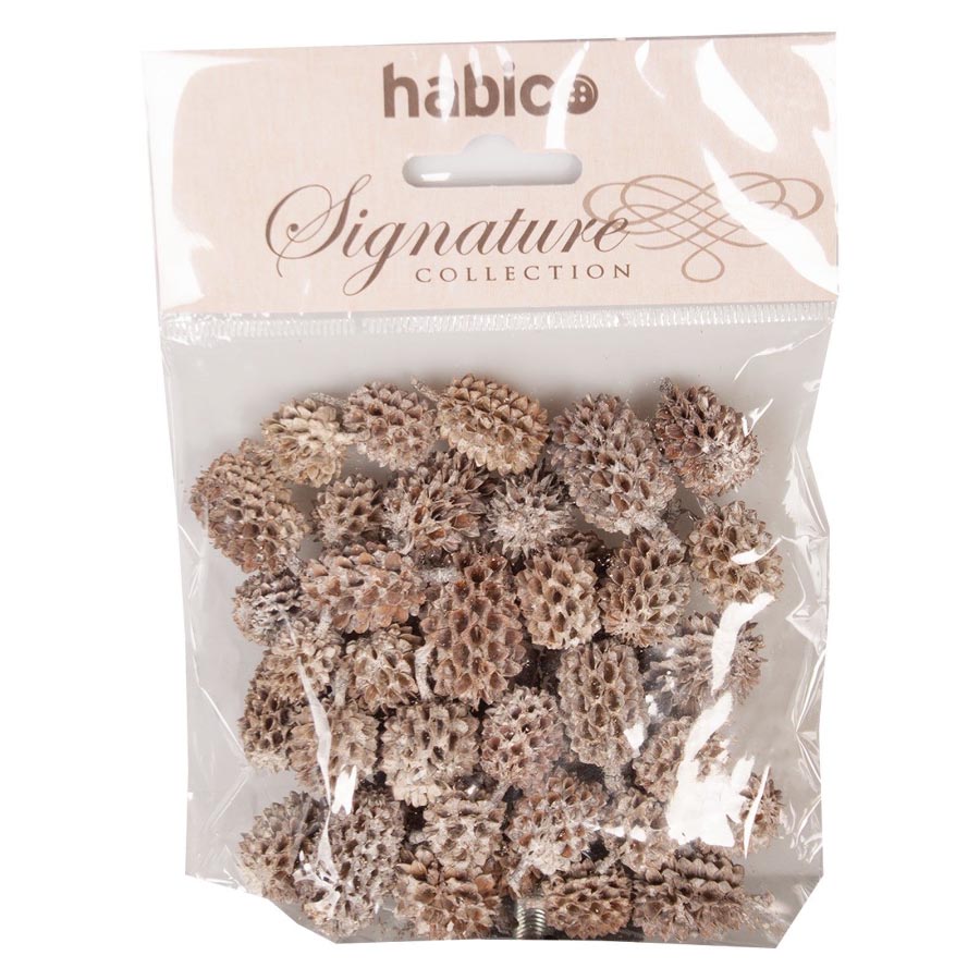 CASUARINA PINE CONES 50G NATURAL 0