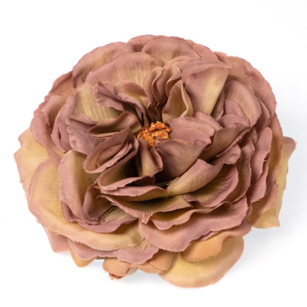 RANUCUNLUS 8.5CM BEIGE