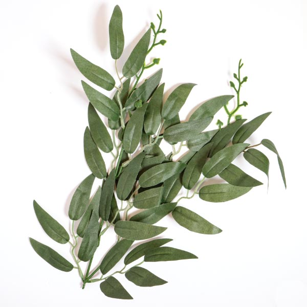 EUCALYPTUS STEM GREEN