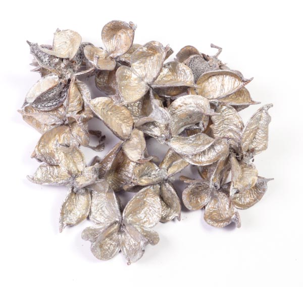DRY COTTON FLOWERS SILVER