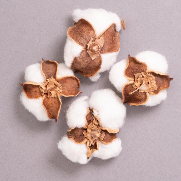 COTTON BALL PODS NATURAL 4PCS