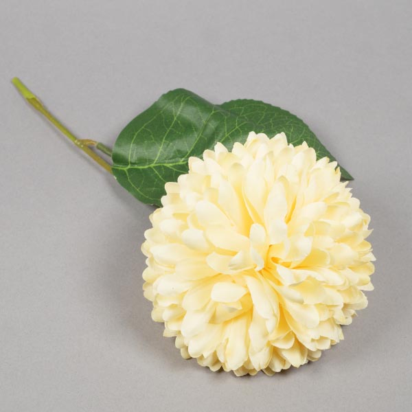 CHRYSANTHEMUM HEAD CREAM