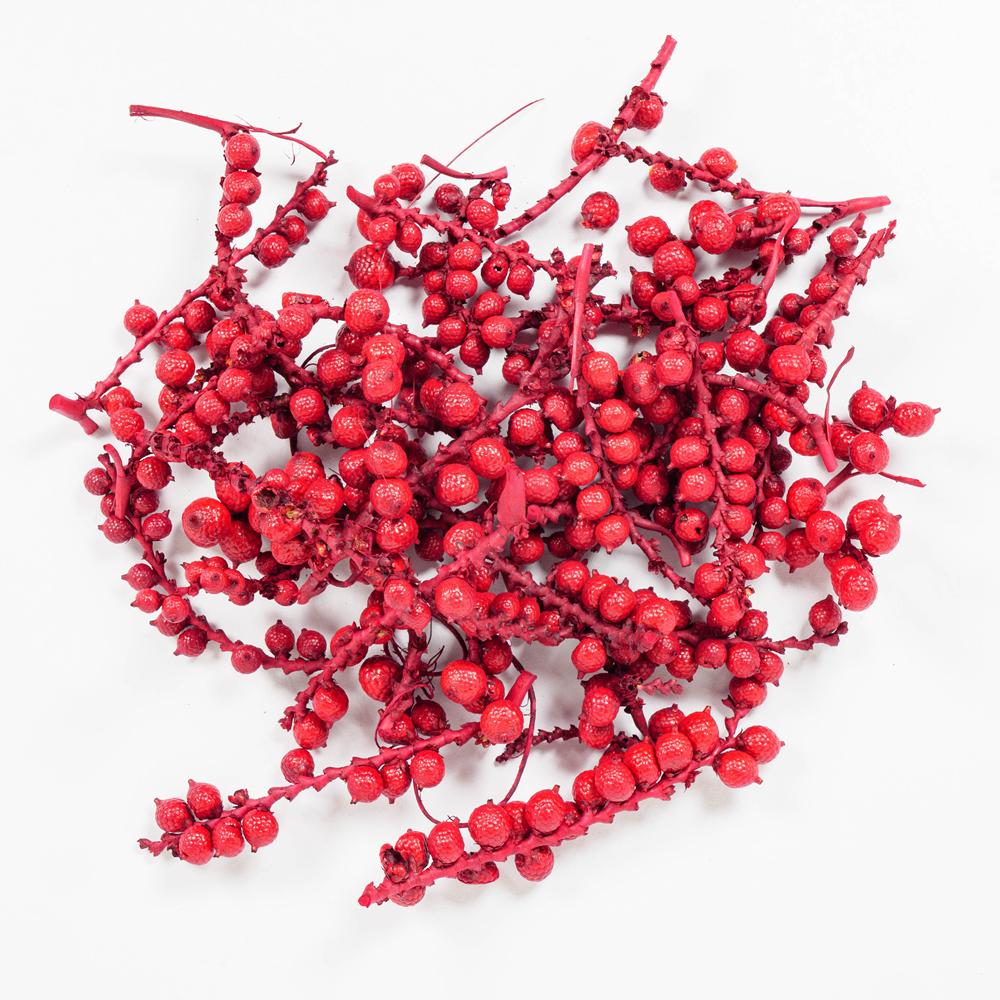 CANELLA BERRIES 30G Red