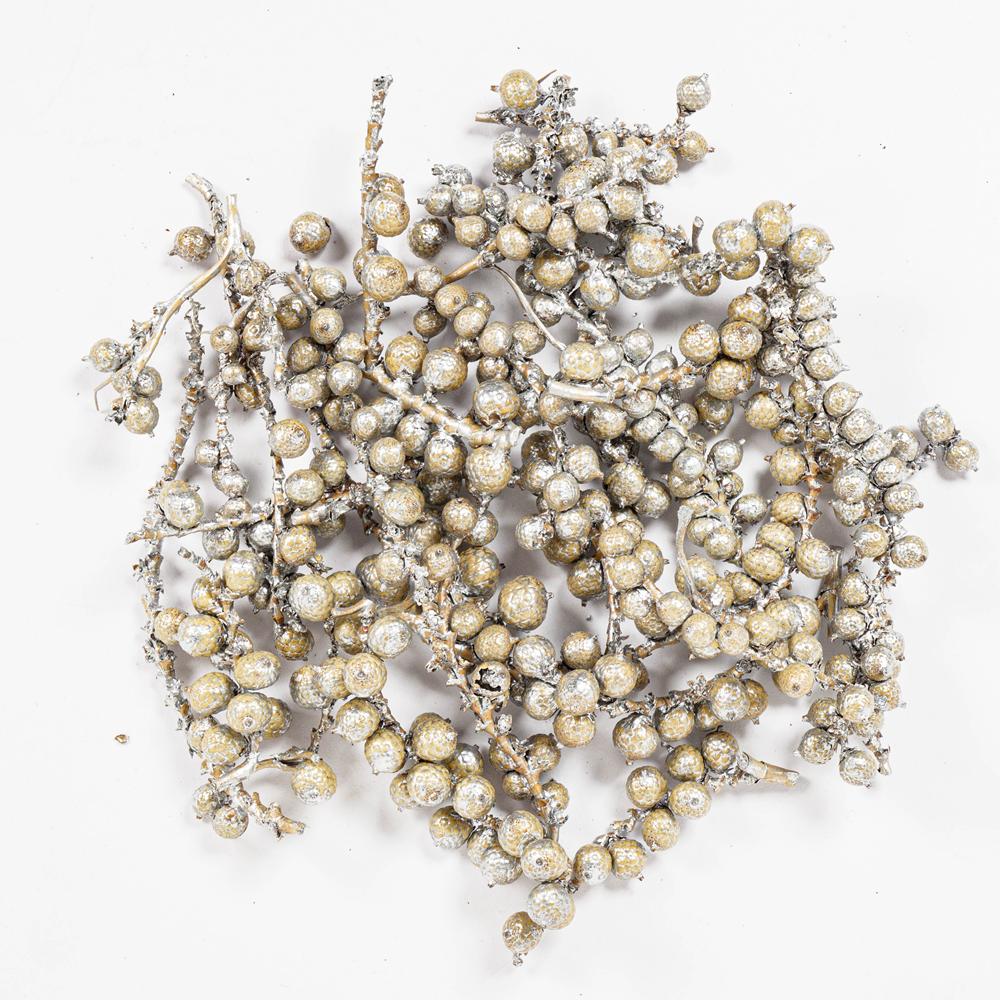 CANELLA BERRIES 30G Silver