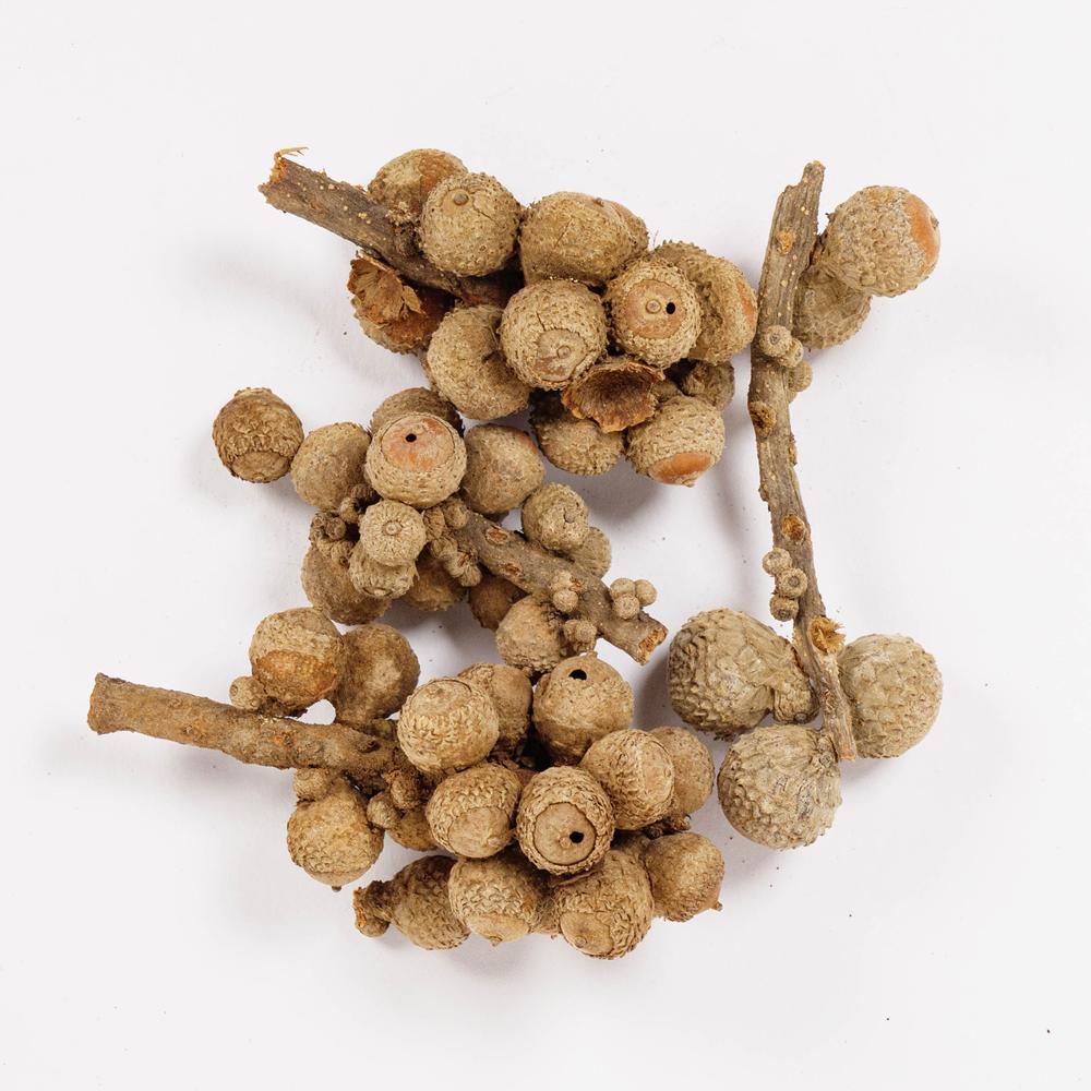 ACORN BUNCHES 40G Natural
