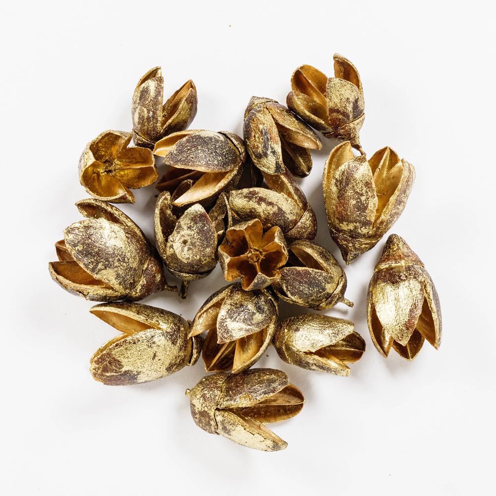 BAKULI PODS 40G Gold