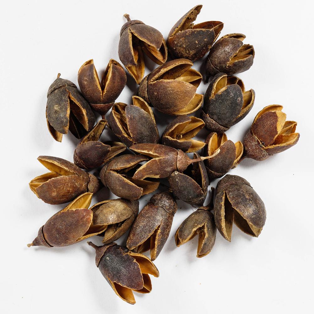 BAKULI PODS 40G Natural