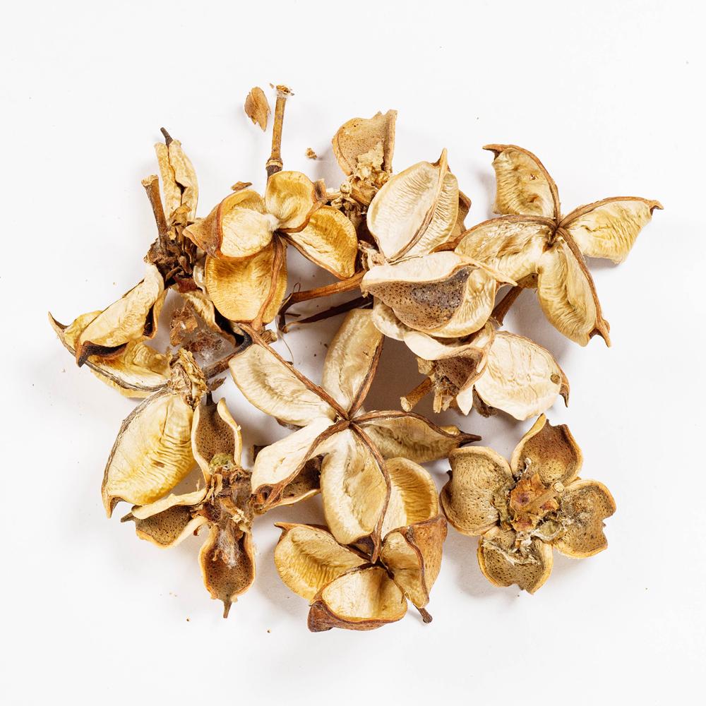 COTTON POD 15G