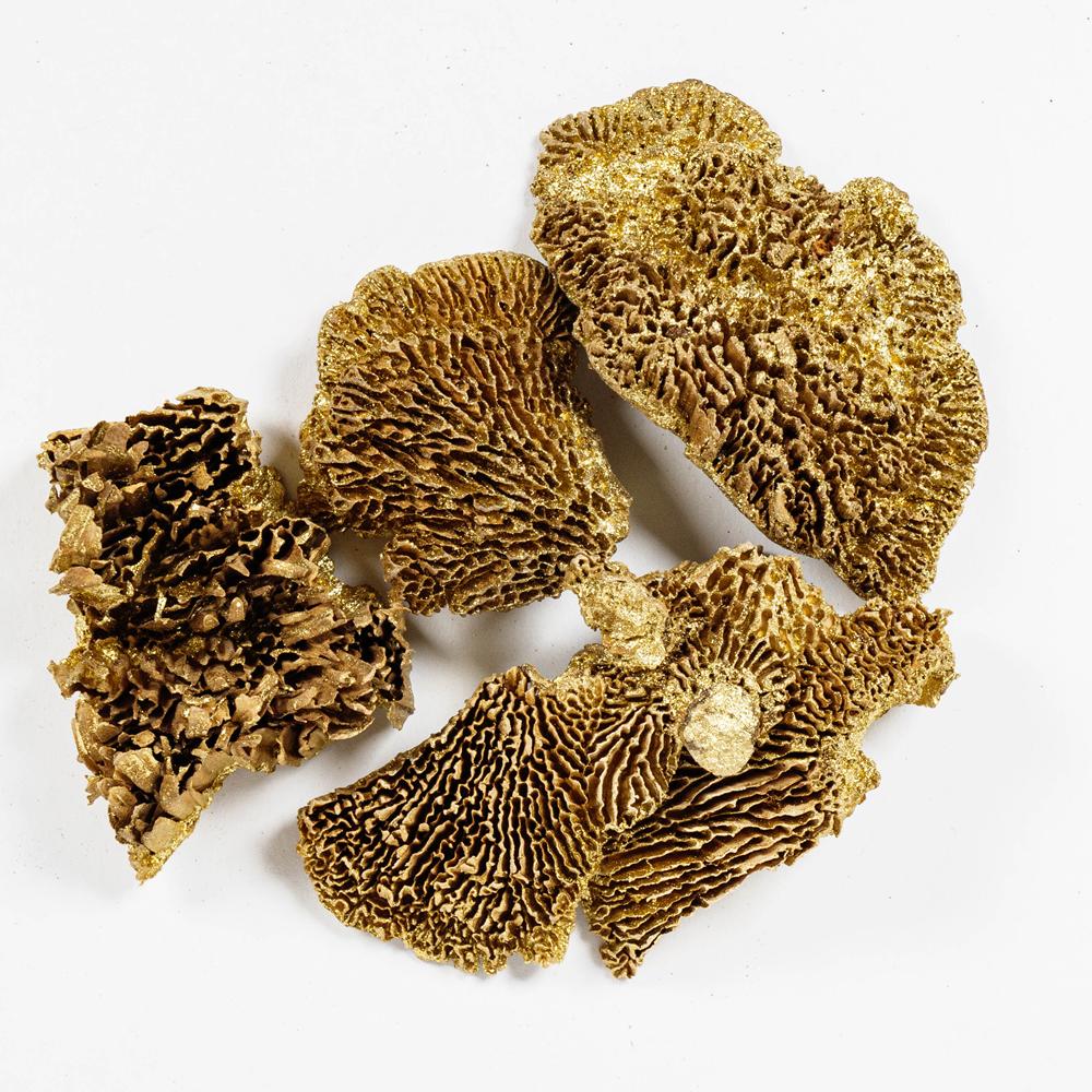 SPONGE MUSHROOMS 22/23G