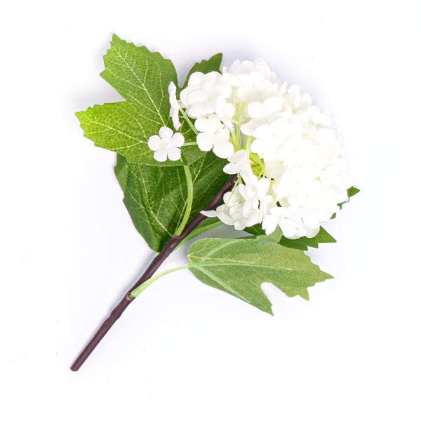 GARDEN VIBURNUM WHITE 1 STEM