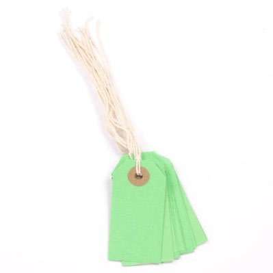 GIFT TAGS 10PCS 70 X 35MM