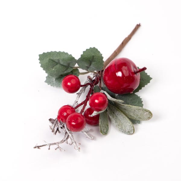 PICK WITH DARK RED BERRIES/APPLE