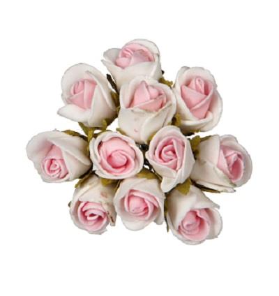 2CM FOAM ROSE - CREAM PINK 3