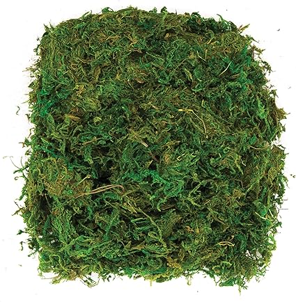 GREEN MOSS 50G APPROX