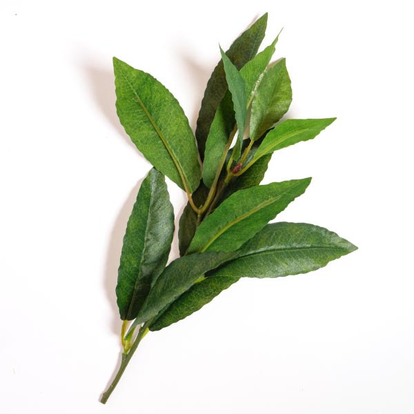 BAY LEAF