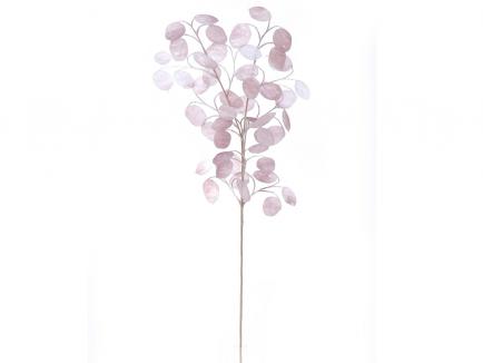 SILVER DOLLAR 2 STEMS PURPLE Purple