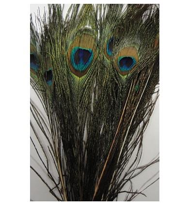 PEACOCK FEATHERS 10PCS