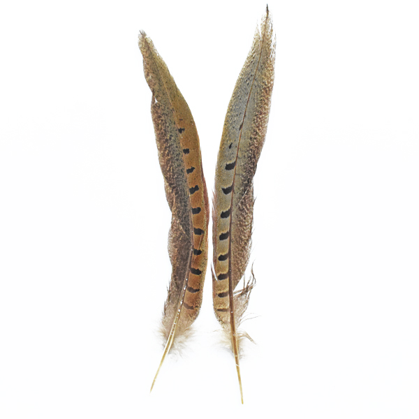 PHEASANT FEATHER 2PCS