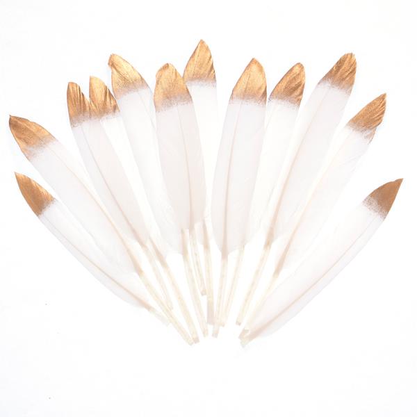 GOLD TIPPED GOOSE FEATHER 12PCS
