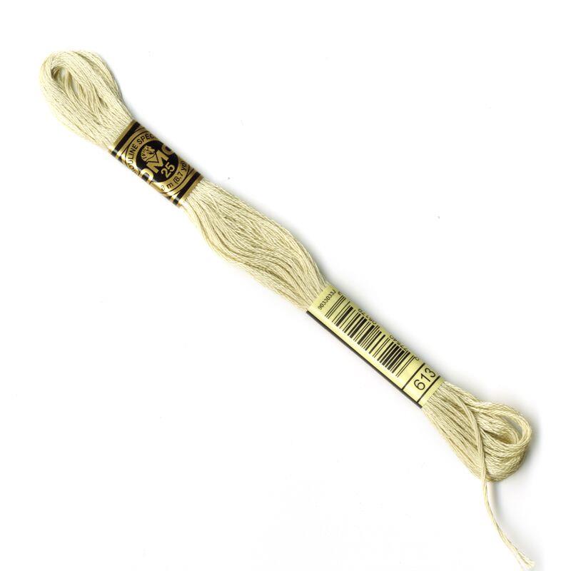 MOULINE EMBROIDERY THREAD 613