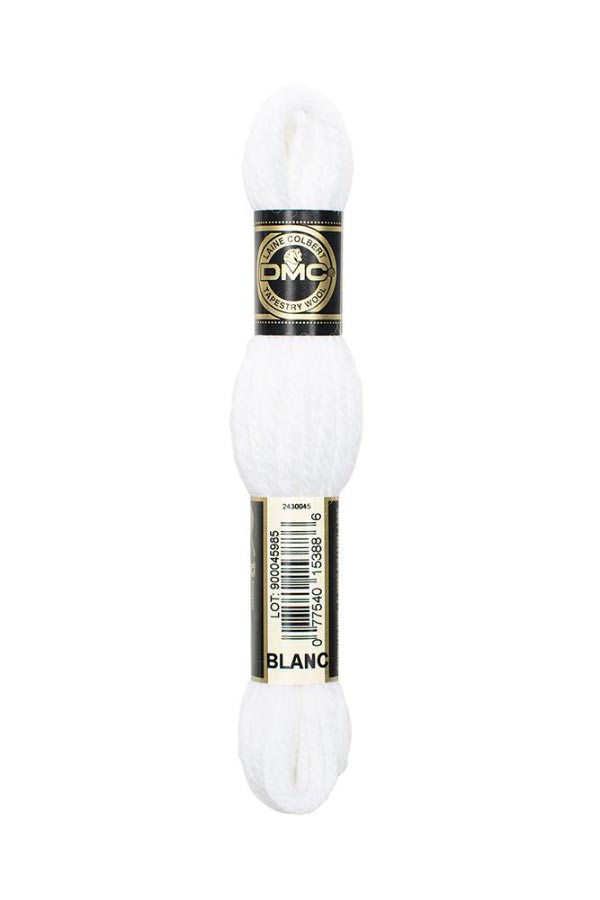 TAPESTRY WOOL 8M 10 SKEINS BLANC