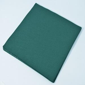 Handicraft Felt Squares 12x12 10PK HOLLY