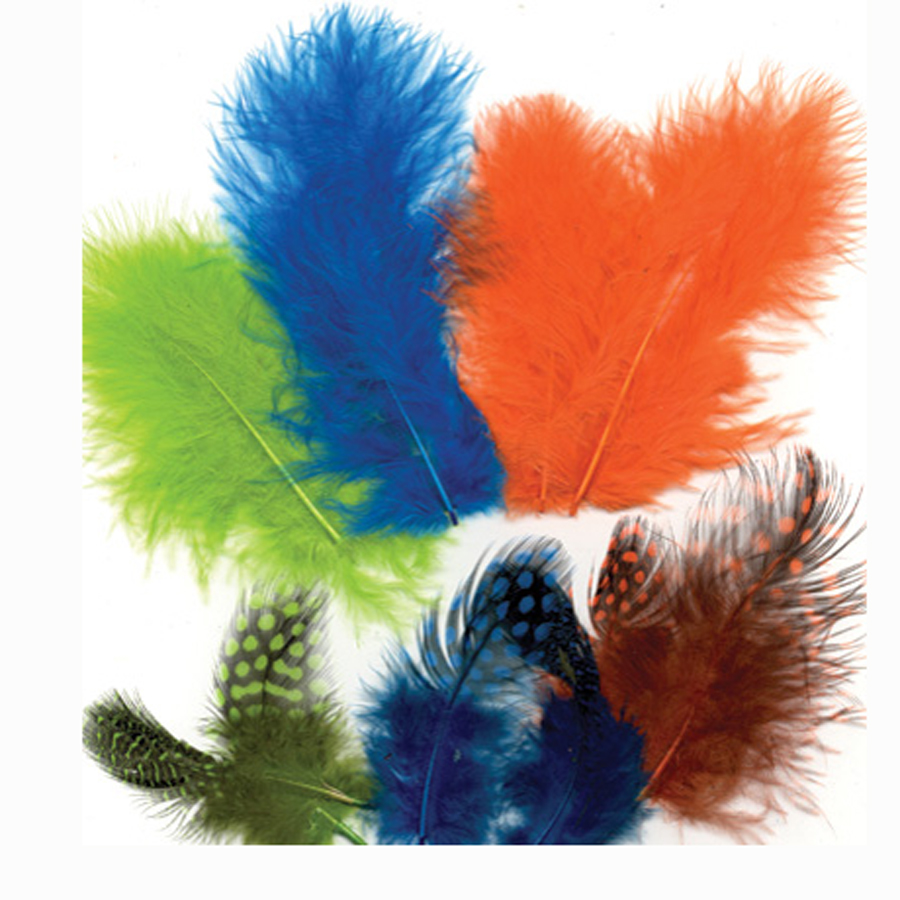 ASSTD FEATHERS 18PCS 2906 Carnival