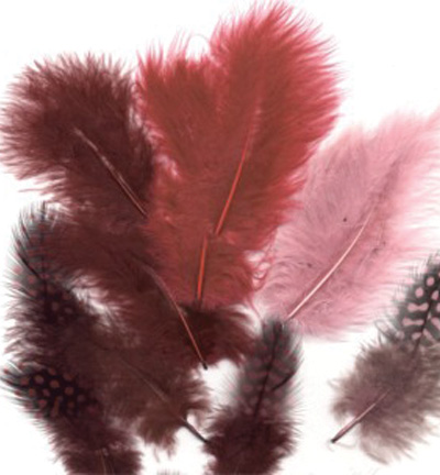 ASSTD FEATHERS 18PCS 2909 Wine