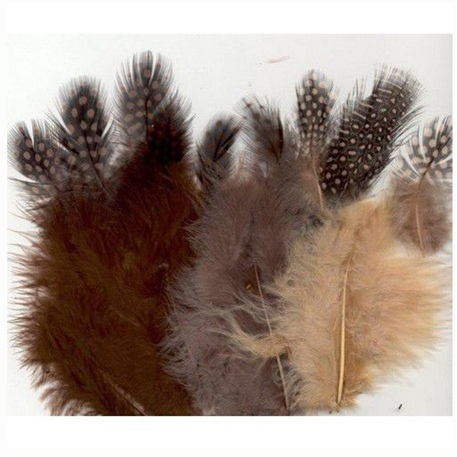 ASSTD FEATHERS 18PCS 2910 Browns