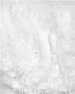 MARABOU FEATHERS PK 15 2802 White