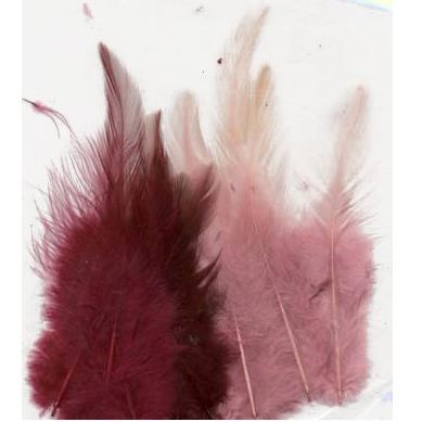 FEATHERS 15PCS 5PKS 3507 Wine