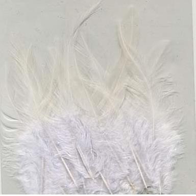 FEATHERS 15PCS 5PKS 3509 White