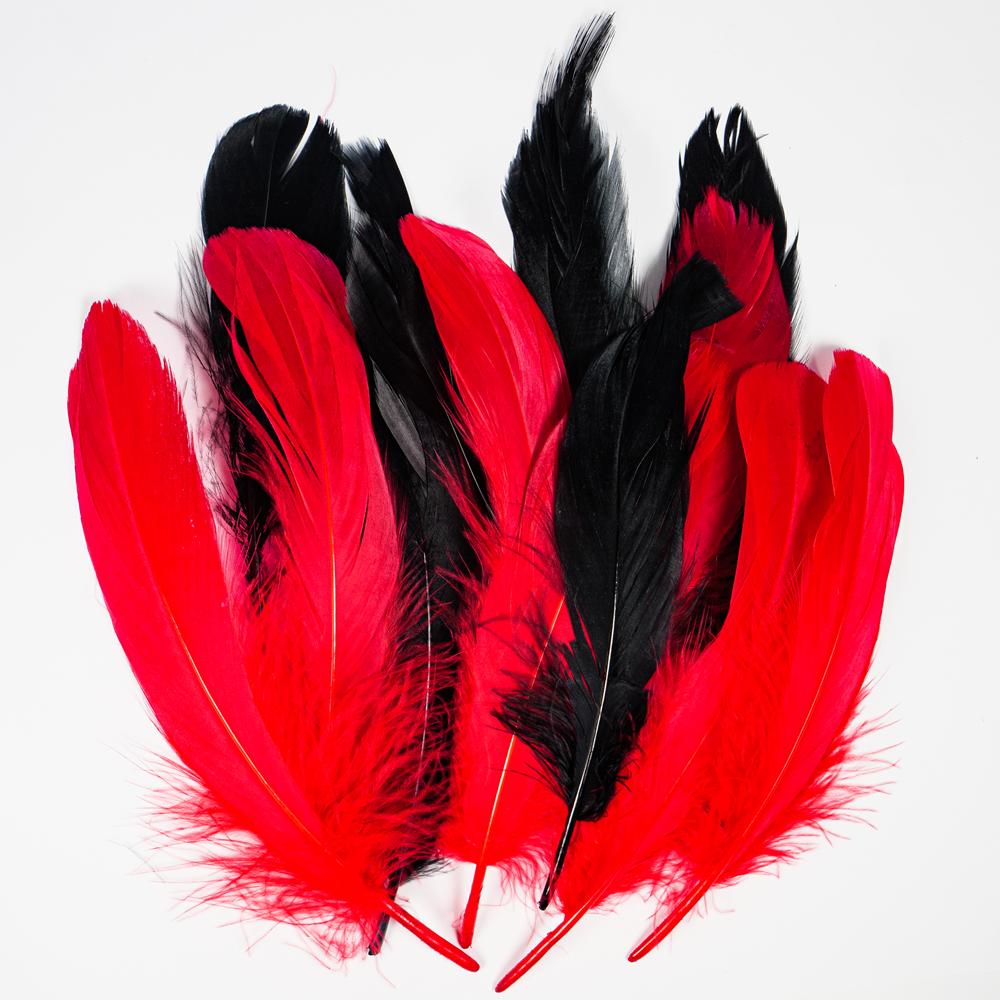 FEATHERS 15PCS 5PKS 3801 Gala