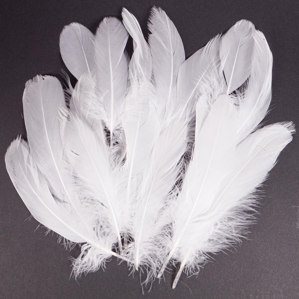 FEATHERS 15PCS 5PKS 3809 White