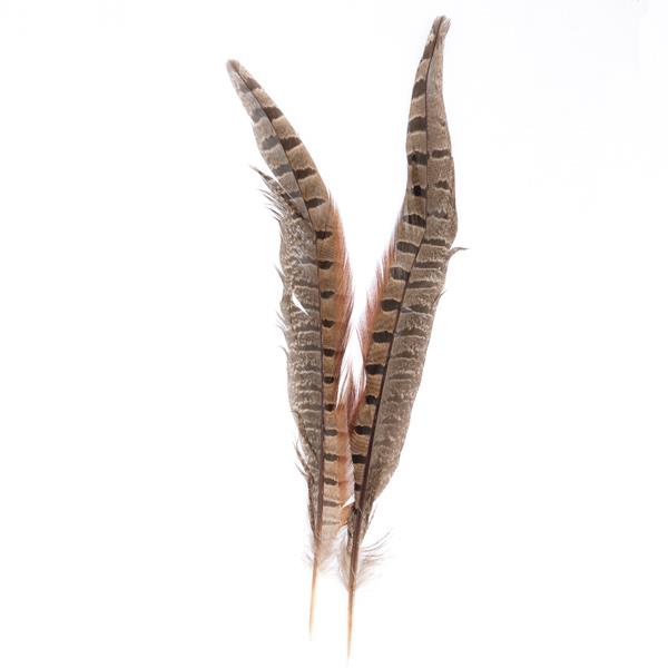 20/23CM PHEASANT FEATHERS 2PCS