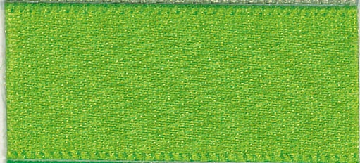 S 25MM DOUBLE SATIN RIBBON  X 20M 664 Meadow