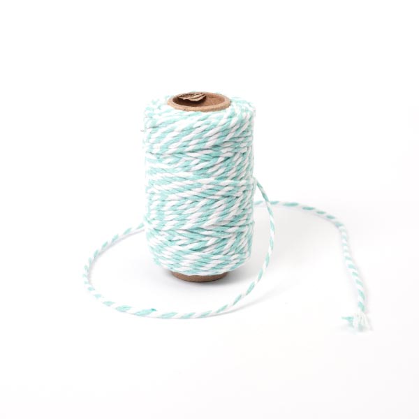 2MM BAKERS TWINE 20M 16 Turquoise/White