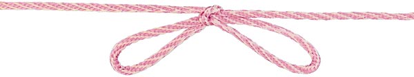 BAKERS TWINE - 20M 2 Rose