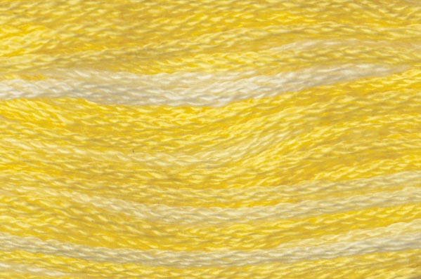 STRANDED EMBROIDERY THREAD 24 SKEINS 8M 11