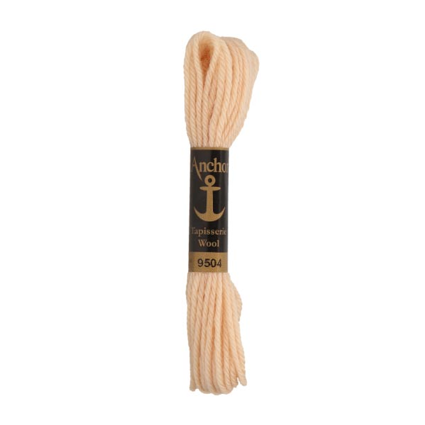 ANCHOR TAPISSERIE WOOL 10 X 10M SKEINS 9504